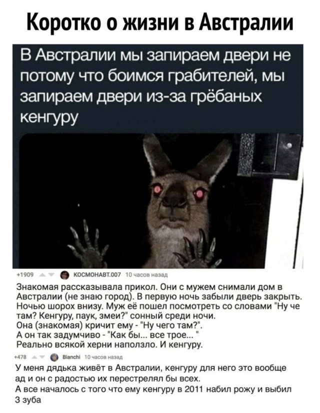 Так себе картинки 18.07.21