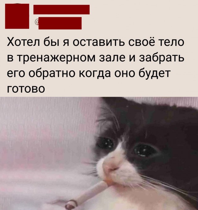 Кретинизмы из сети 03.09.2021