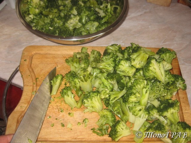 International одной книги., В память о Дженибеке.