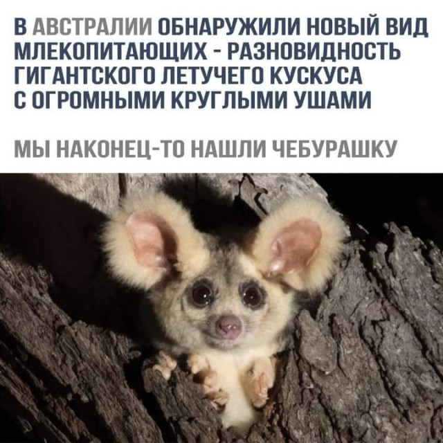 Потрудитесь объяснить свои действия