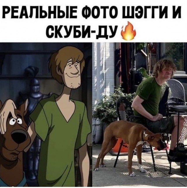 Всяческие картинки 17.11.2021