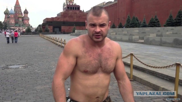 Дворовое быдло