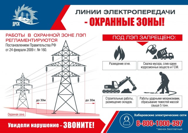 Посадили деревья под высоковольтными линиями электропередачи