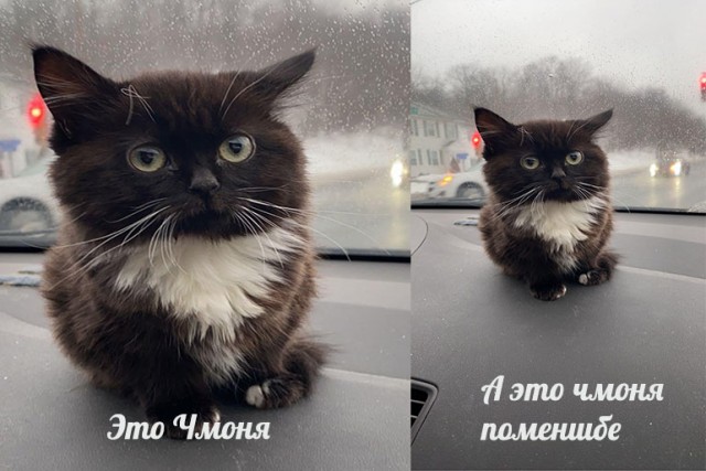 Весёлый полтишок 13.03.22