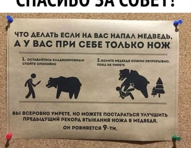 Очередной весёлый полтишок