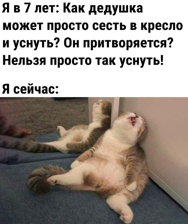 Так себе картинки 09.05.22