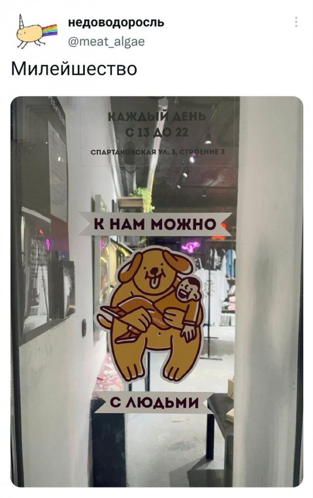 Картинки и мемы для настроения - 03