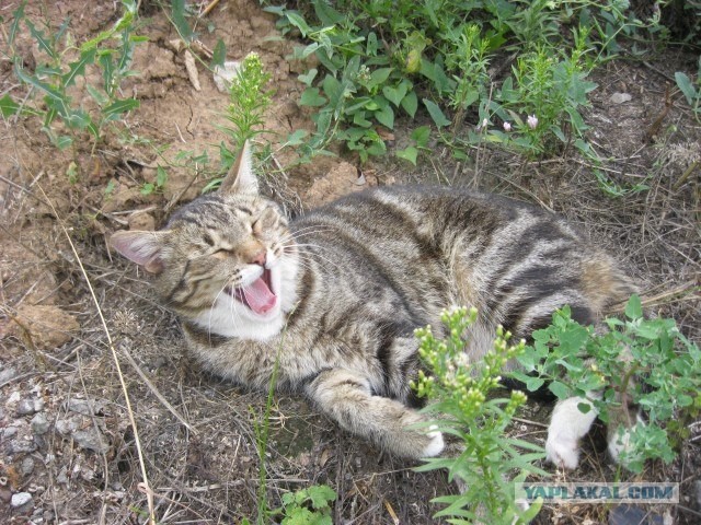 Я люблю Казань!