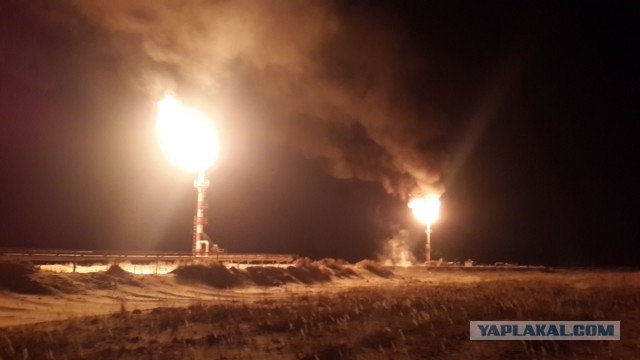 С Днём нефтяника!