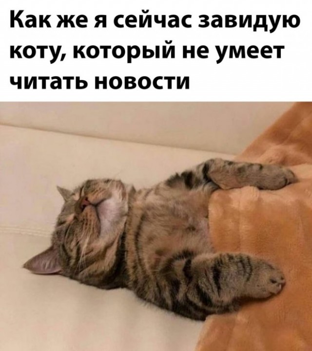 Картинки и мемы. Выходные близко...