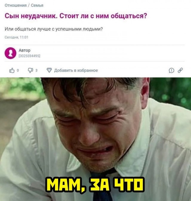 Весёлый полтишок 04.11.22