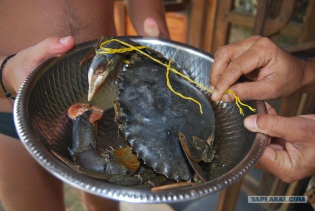 ГоА свои впечатления