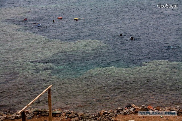 Синайские приключения. Шарм-эш-Шейх и окресности
