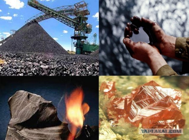 Минприроды РФ лишило иностранные компании лицензий на российские недра