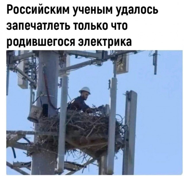 Юмор в картинках и без 21.02.2023