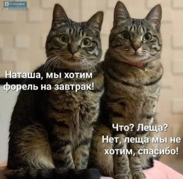 Вот такой вот ты человек, Наташа... С гнильцой