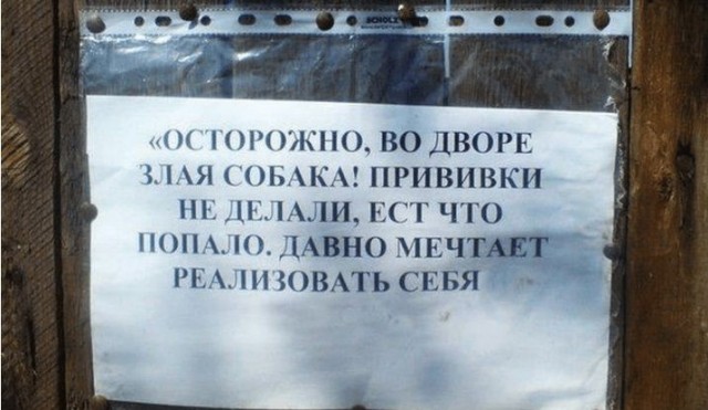 22 марта у парадной дома в Московском районе произошло нападение бойцовой собаки