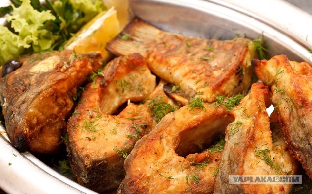 Поговорим о том, кто как жарит