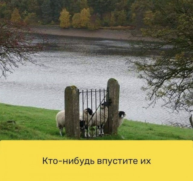 Так себе картинки 15.04.23