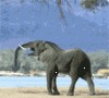 Чья бы корова мычала