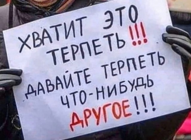 «Бздила картонная, собирайся и дуй на фронт. Покажи, на что ты способен, болтун безмозглый».