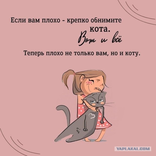 Женился на девственнице и пожалел!