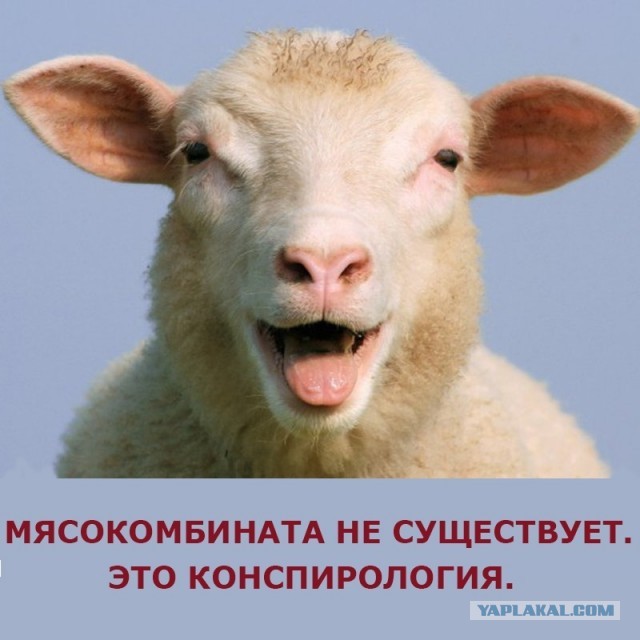 Ровно 10 лет назад начался майдан