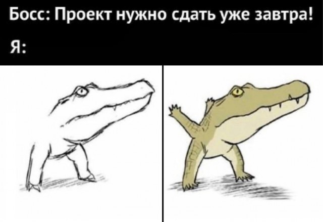 Приколы с налетом деградации