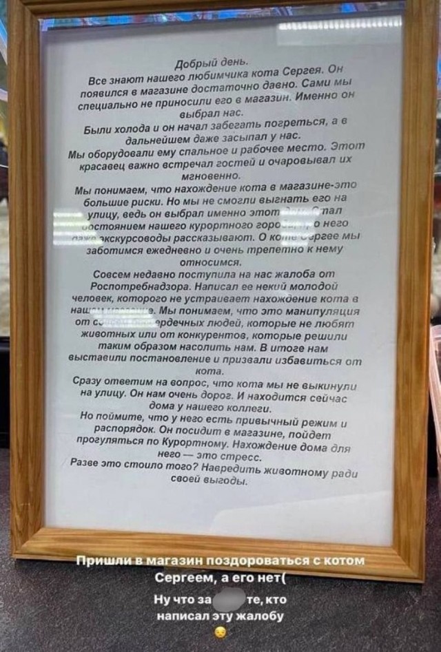 «Приходит, сидит под дверью магазина, грустит»