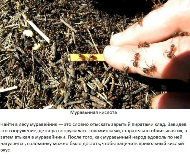Типичные лакомства той поры