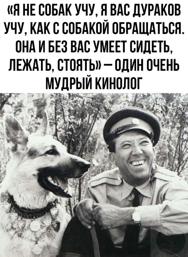 Так себе картинки 13.04.24