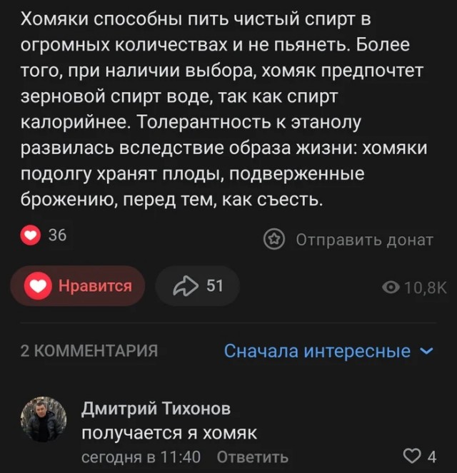 Забавные комментарии из социальных сетей (22.04.24)