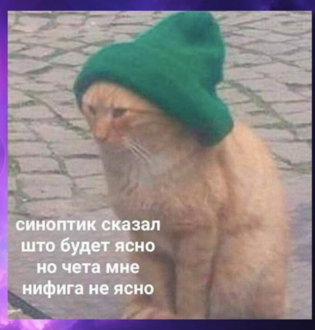 ТРРРидцать тРРРи от 7 мая