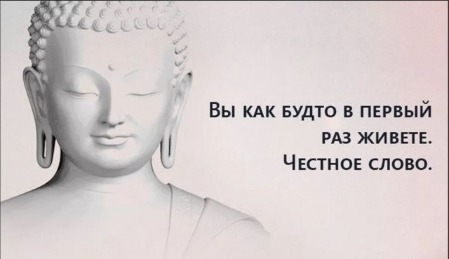 Про дебош в храме, сожжение Корана и ответственность⁠⁠