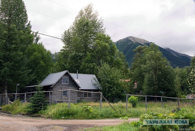 Занимательная Аляска
