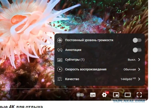 Замедление YouTube остановят в ближайшие дни