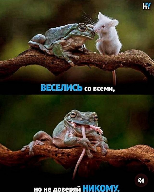 Картинки разные с надписями и без