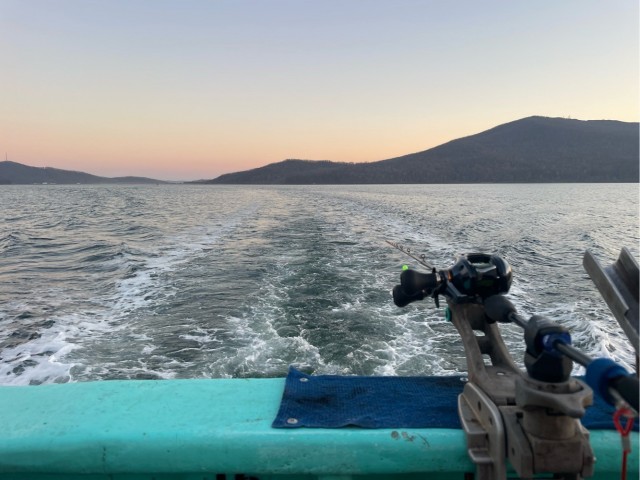 Игра в кальмара