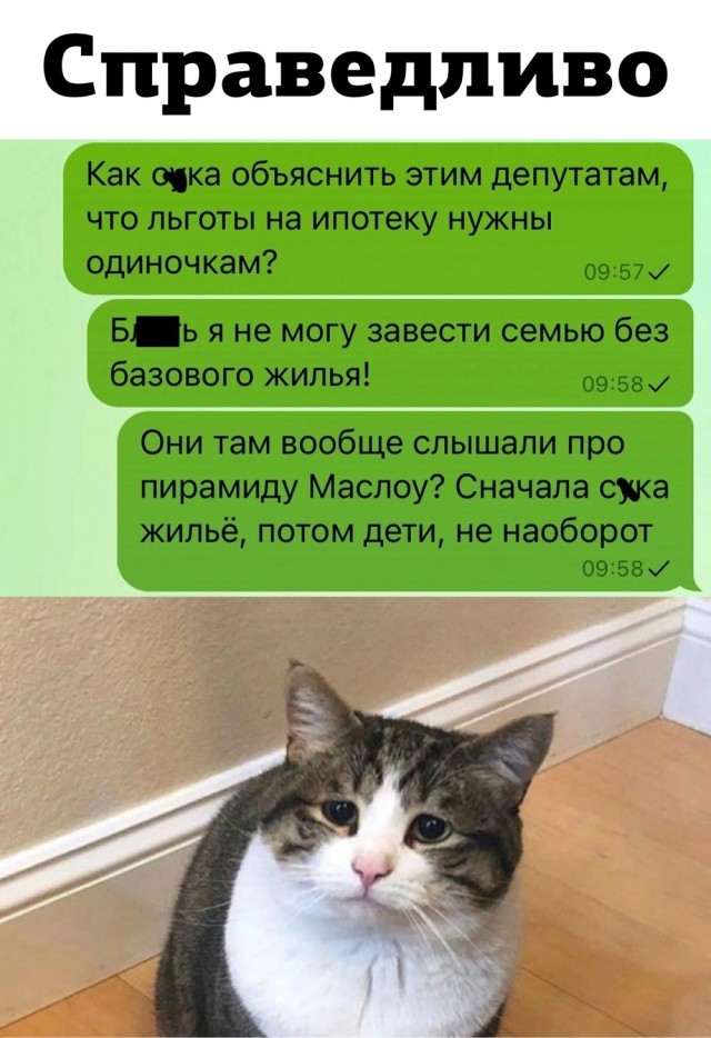 Весёлый полтишок 06.12.24