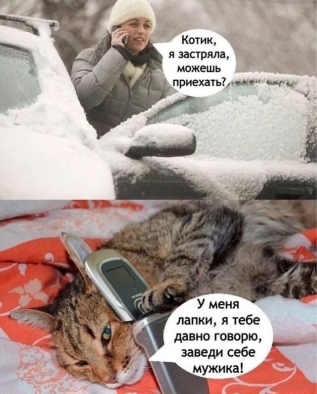 Веселые картинки в пятницу (10.01)