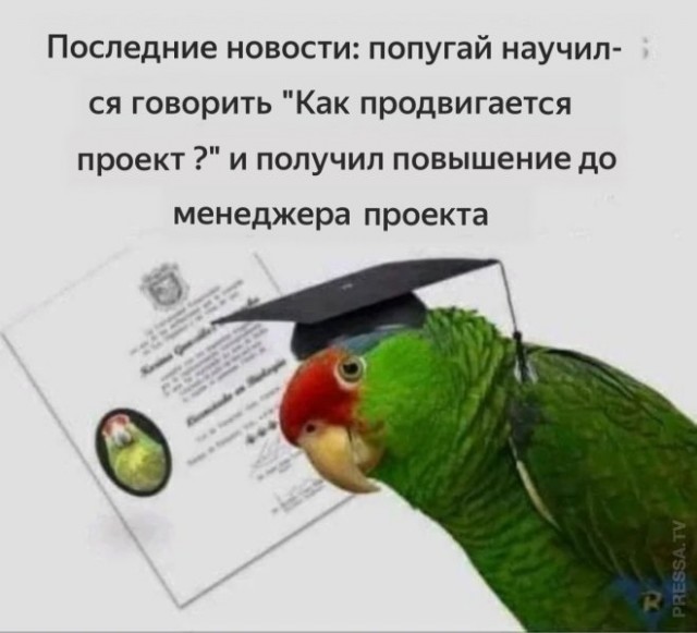 Веселые картинки в пятницу (14.02)