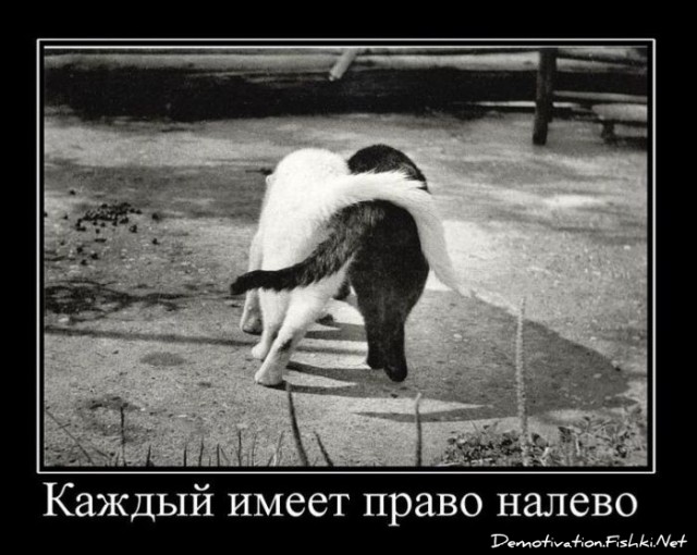 97% жен считают измену оправданной, если у мужа начались проблемы с потенцией.