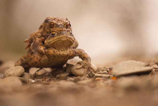 Прикольные и просто красивые картинки 04.04.2025