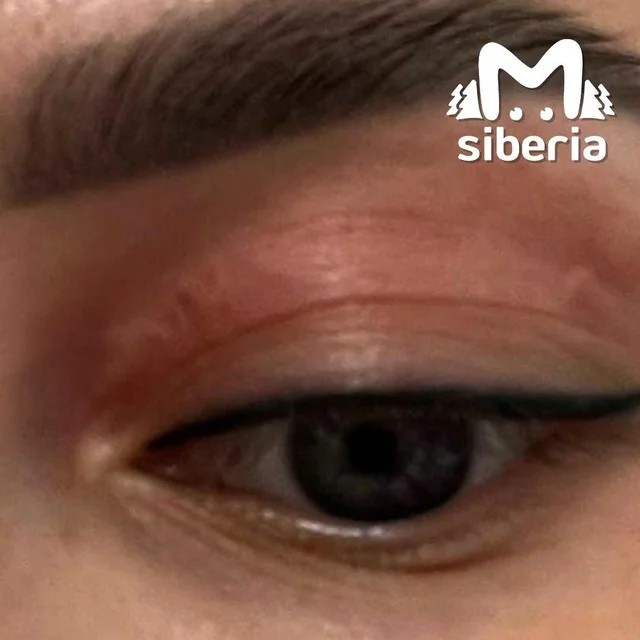 'Безбилетник" с юга