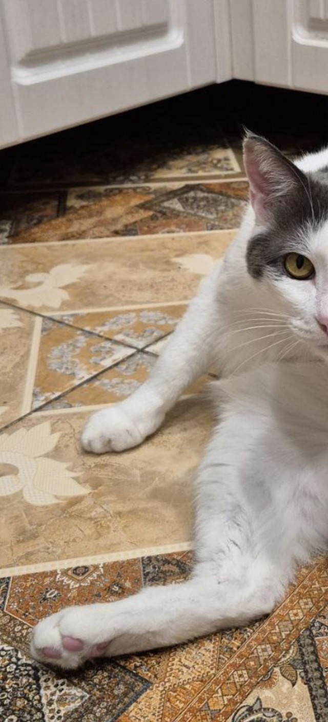 Я боюсь когда он так сидит