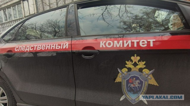 Распилил и поместил в морозилку. В Барнауле раскрыли жуткие подробности убийства женщины