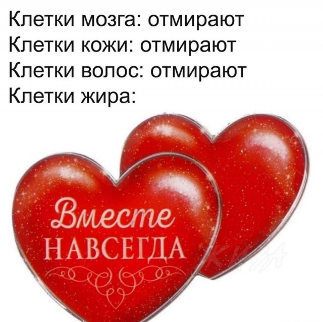 Для пятничного настроения