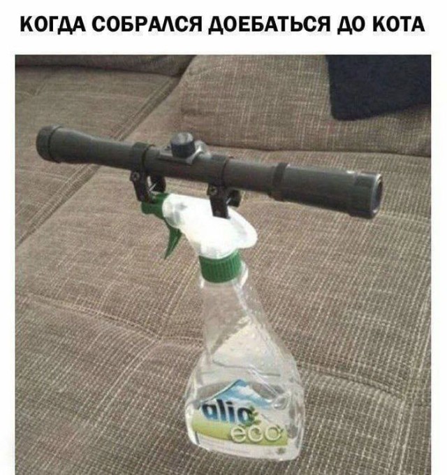 Картинки для деградации 14 (разной степени свежести)
