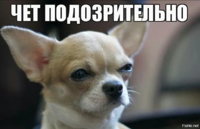 Инженер заснял свет в движении на камеру со скоростью 2 млрд кадров в секунду