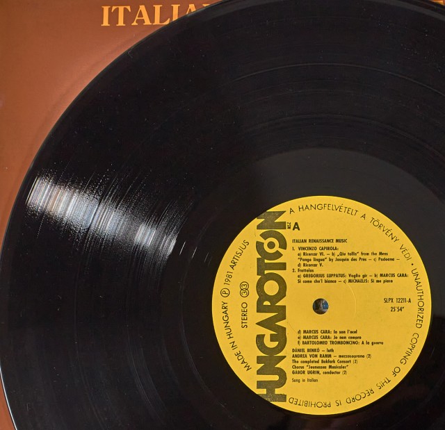 Виниловые пластинки